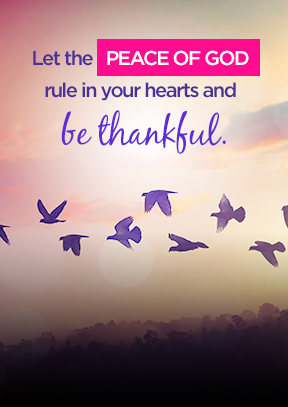 Let the peace of God rule in your hearts and be thankful.