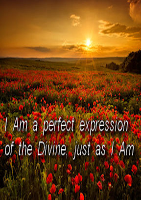 I Am a Perfect Expression