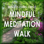 Mindful Meditation Walk: Reconnecting with Nature